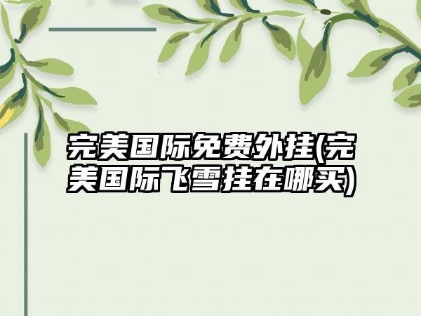 完美国际免费外挂(完美国际飞雪挂在哪买)