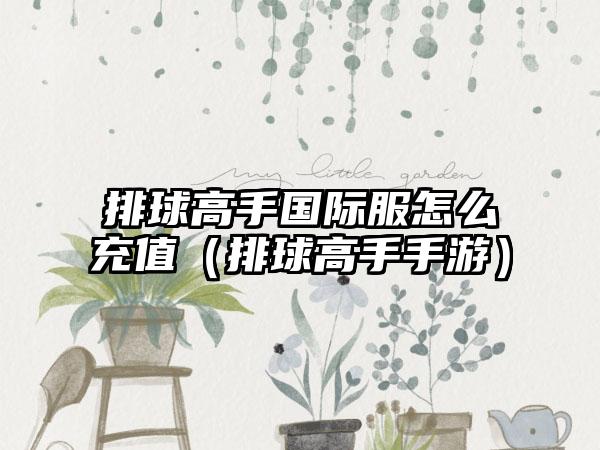 排球高手国际服怎么充值（排球高手手游）