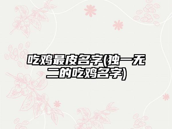 吃鸡最皮名字(独一无二的吃鸡名字)