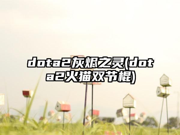 dota2灰烬之灵(dota2火猫双节棍)