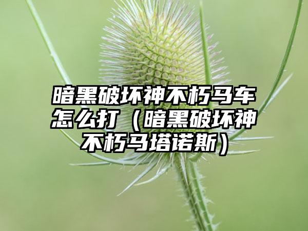 暗黑破坏神不朽马车怎么打（暗黑破坏神不朽马塔诺斯）