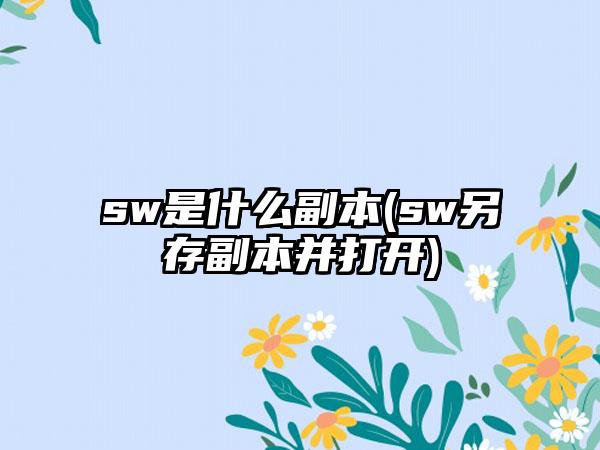sw是什么副本(sw另存副本并打开)