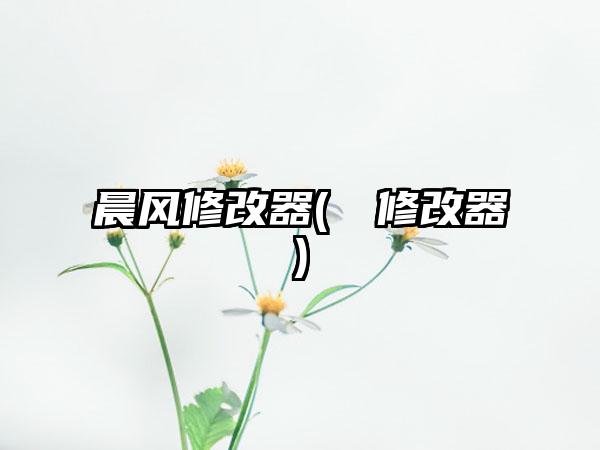 晨风修改器(東陞修改器)