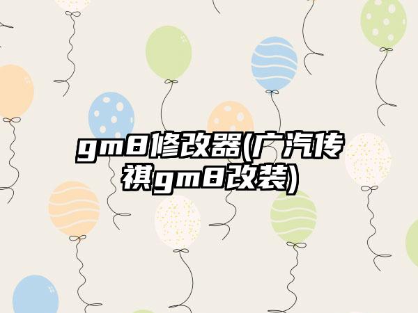 gm8修改器(广汽传祺gm8改装)