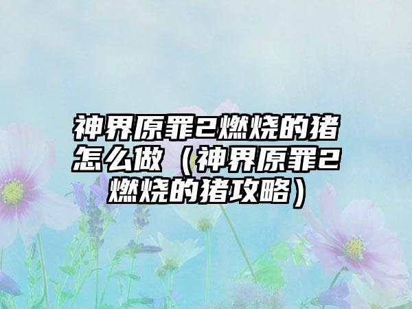 神界原罪2燃烧的猪怎么做（神界原罪2燃烧的猪攻略）