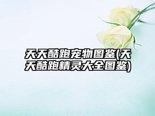 天天酷跑宠物图鉴(天天酷跑精灵大全图鉴)