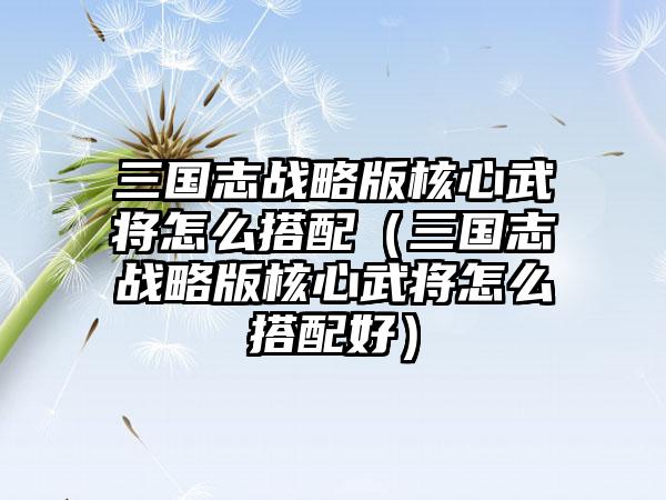 三国志战略版核心武将怎么搭配（三国志战略版核心武将怎么搭配好）