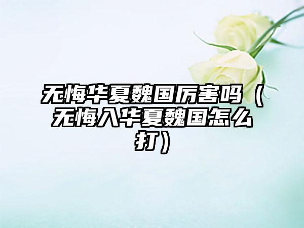 无悔华夏魏国厉害吗（无悔入华夏魏国怎么打）