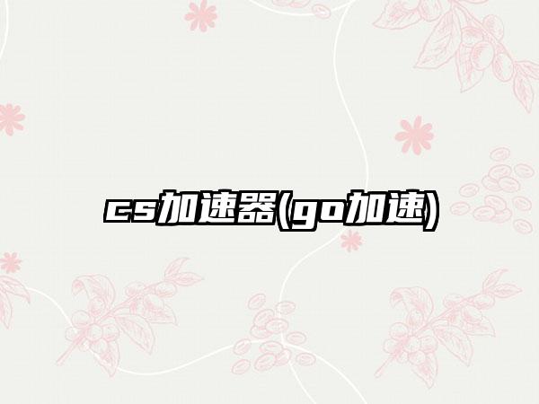 cs加速器(go加速)