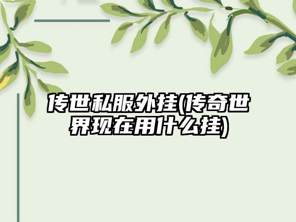 传世私服外挂(传奇世界现在用什么挂)