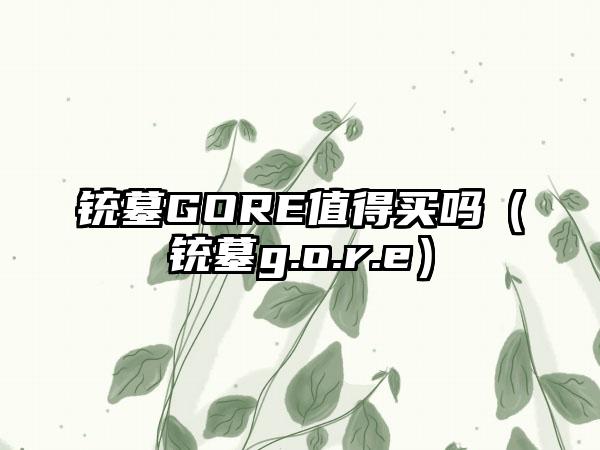 铳墓GORE值得买吗（铳墓g.o.r.e）