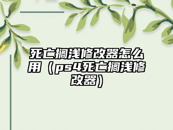 死亡搁浅修改器怎么用（ps4死亡搁浅修改器）