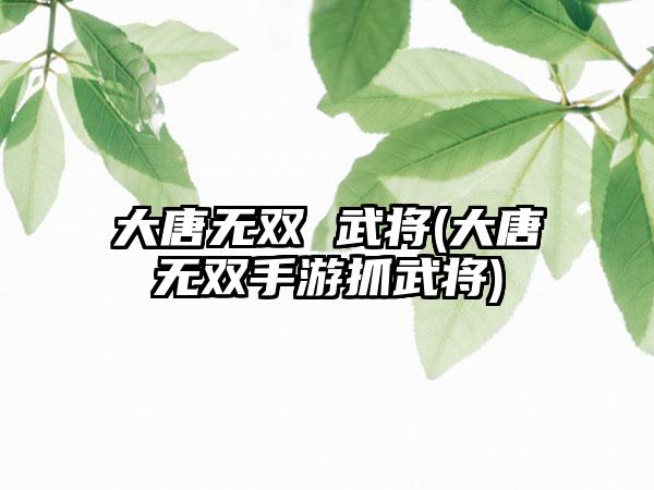 大唐无双 武将(大唐无双手游抓武将)