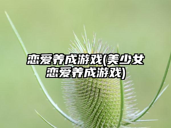 恋爱养成游戏(美少女恋爱养成游戏)