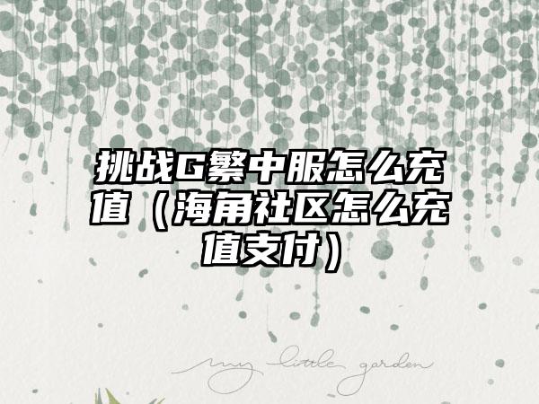 挑战G繁中服怎么充值（海角社区怎么充值支付）