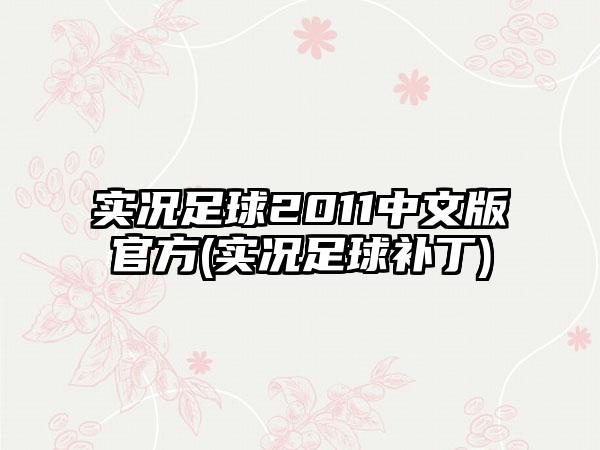 实况足球2011中文版官方(实况足球补丁)