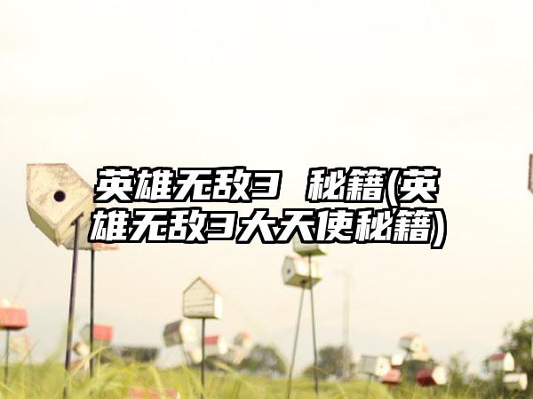 英雄无敌3 秘籍(英雄无敌3大天使秘籍)