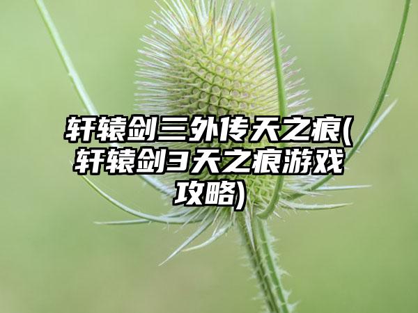 轩辕剑三外传天之痕(轩辕剑3天之痕游戏攻略)