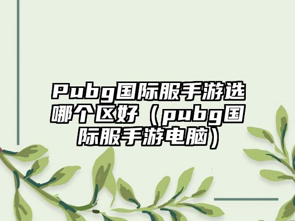 Pubg国际服手游选哪个区好（pubg国际服手游电脑）
