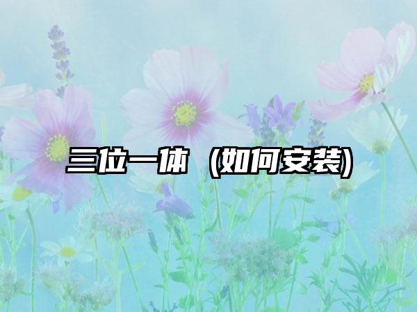 三位一体 (如何安装)