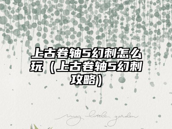 上古卷轴5幻刺怎么玩（上古卷轴5幻刺攻略）