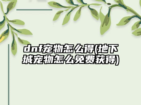 dnf宠物怎么得(地下城宠物怎么免费获得)