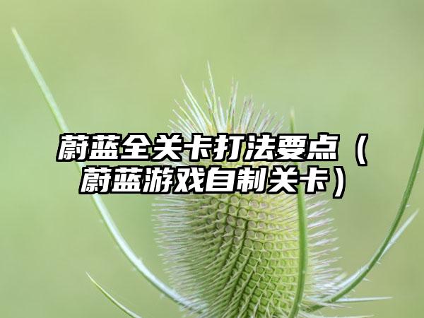 蔚蓝全关卡打法要点（蔚蓝游戏自制关卡）