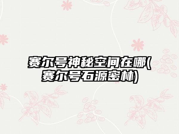 赛尔号神秘空间在哪(赛尔号石源密林)