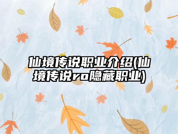 仙境传说职业介绍(仙境传说ro隐藏职业)
