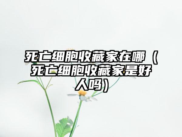 死亡细胞收藏家在哪（死亡细胞收藏家是好人吗）
