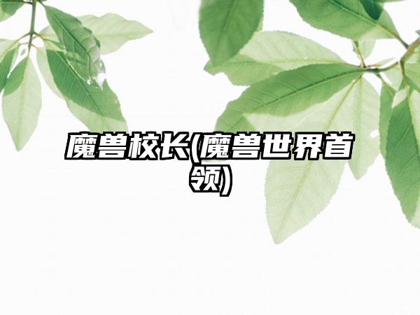 魔兽校长(魔兽世界首领)