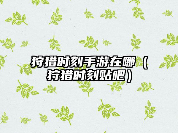 狩猎时刻手游在哪（狩猎时刻贴吧）