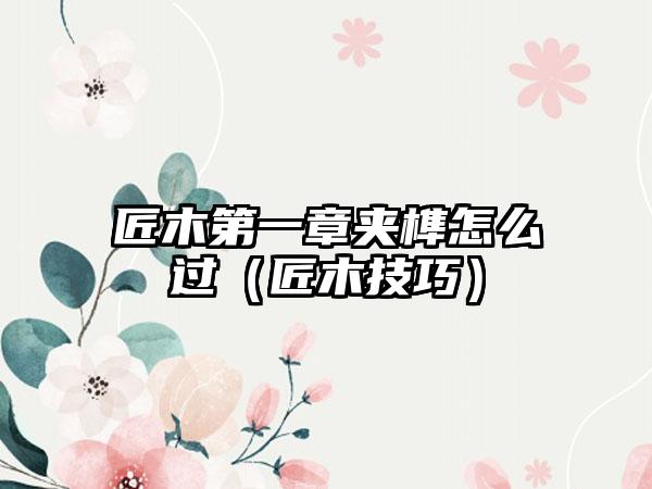 匠木第一章夹榫怎么过（匠木技巧）