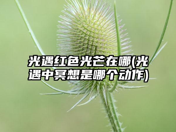 光遇红色光芒在哪(光遇中冥想是哪个动作)