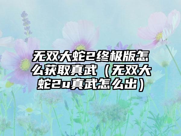 无双大蛇2终极版怎么获取真武（无双大蛇2u真武怎么出）