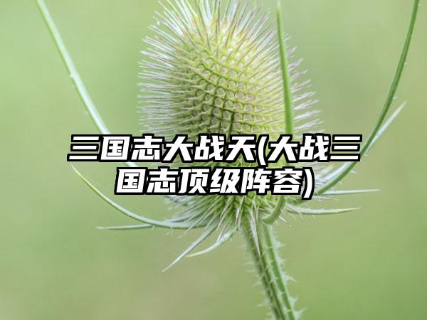 三国志大战天(大战三国志顶级阵容)