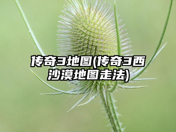 传奇3地图(传奇3西沙漠地图走法)