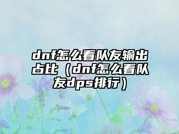 dnf怎么看队友输出占比（dnf怎么看队友dps排行）