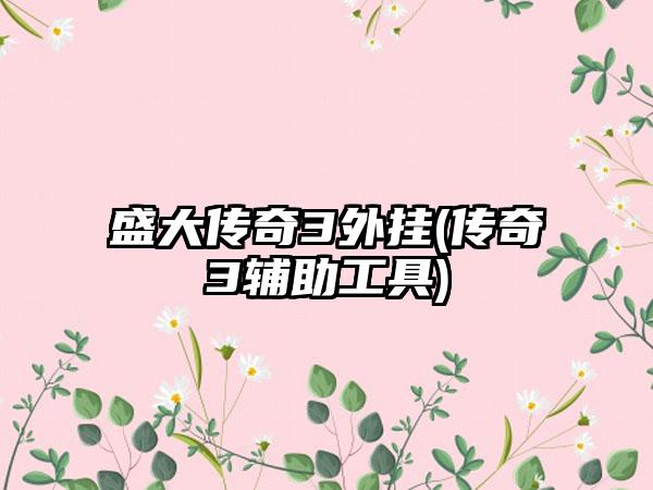 盛大传奇3外挂(传奇3辅助工具)