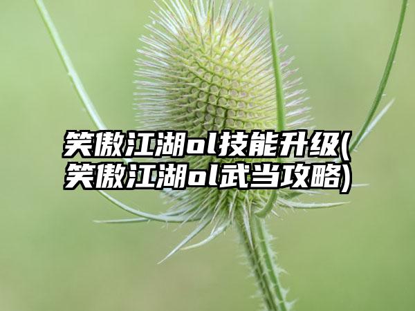 笑傲江湖ol技能升级(笑傲江湖ol武当攻略)