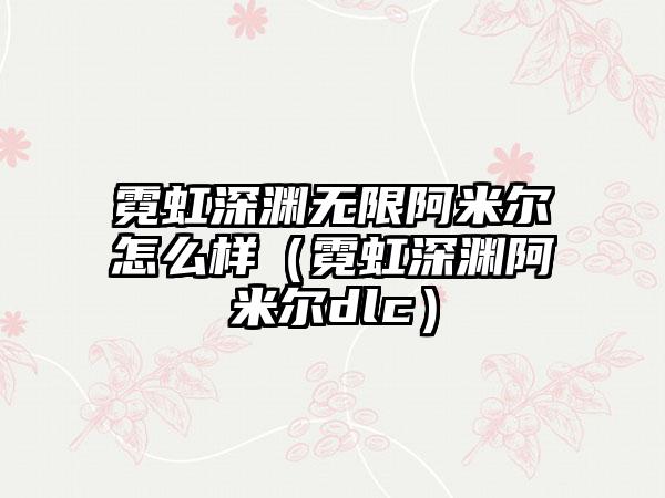 霓虹深渊无限阿米尔怎么样（霓虹深渊阿米尔dlc）