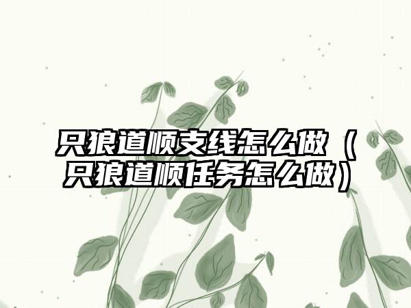 只狼道顺支线怎么做(只狼道顺任务怎么做)
