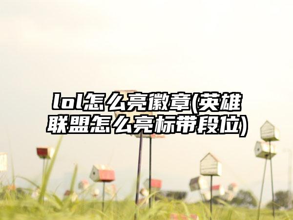 lol怎么亮徽章(英雄联盟怎么亮标带段位)