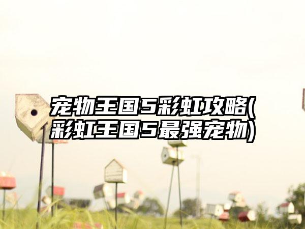 宠物王国5彩虹攻略(彩虹王国5最强宠物)