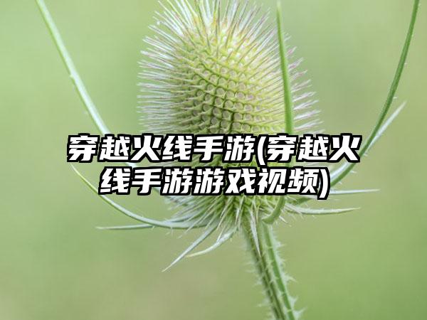 穿越火线手游(穿越火线手游游戏视频)