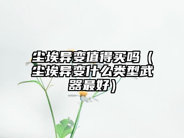 尘埃异变值得买吗（尘埃异变什么类型武器最好）