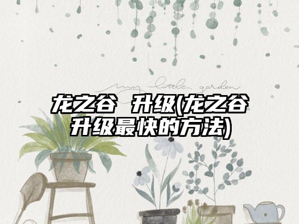 龙之谷 升级(龙之谷升级最快的方法)