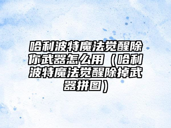 哈利波特魔法觉醒除你武器怎么用（哈利波特魔法觉醒除掉武器拼图）