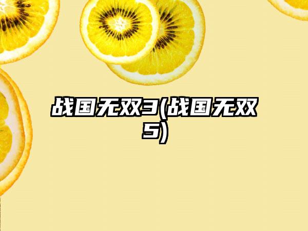 战国无双3(战国无双5)