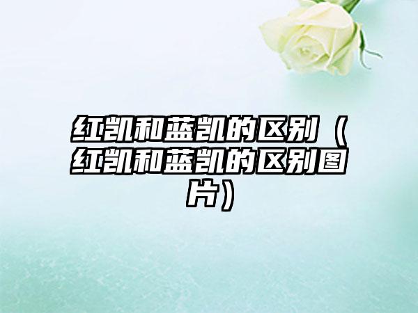 红凯和蓝凯的区别（红凯和蓝凯的区别图片）